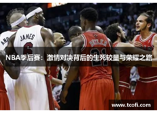 NBA季后赛：激情对决背后的生死较量与荣耀之路