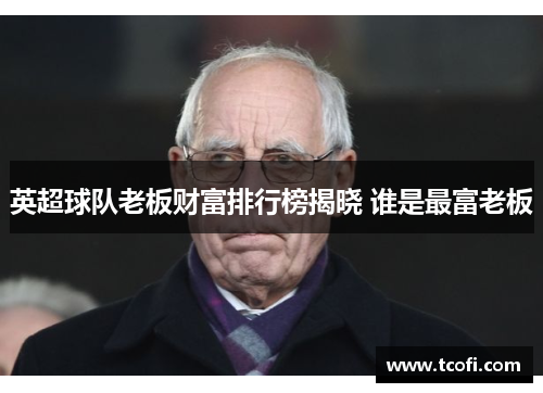 英超球队老板财富排行榜揭晓 谁是最富老板